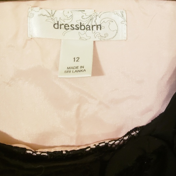 LBD Lace and Blush Dress - Picture 4 of 4